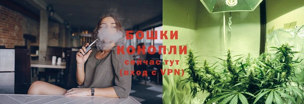 бошки Богородицк