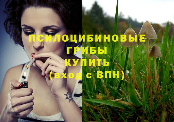 бошки Богородицк