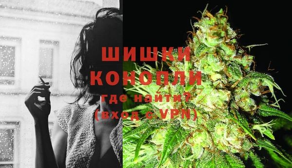 apvp Богданович