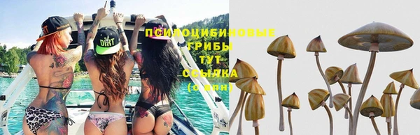бошки Богородицк