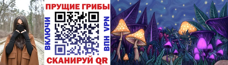 сколько стоит  Юрга  Псилоцибиновые грибы ЛСД 